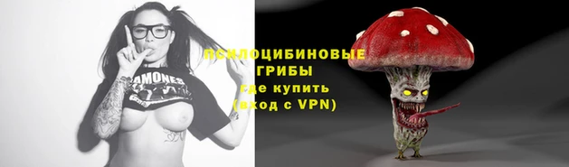 дживик Елизово