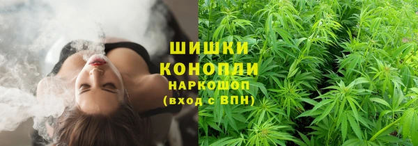 дживик Елизово