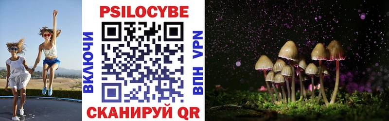 Купить закладки  Великие Луки  Галлюциногенные грибы Psilocybe 